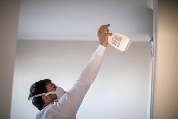 Best Mold Testing  in Winfield, IA