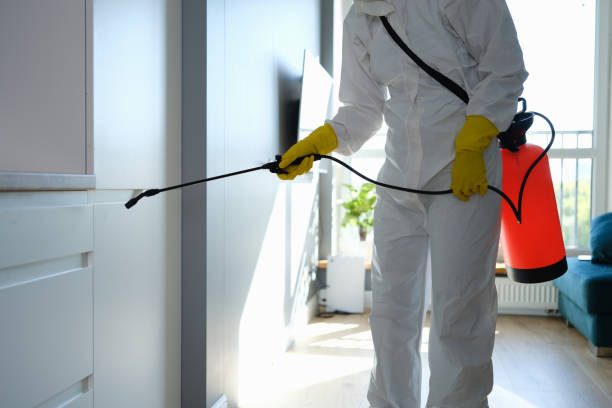 Best Attic Mold Removal  in Winfield, IA