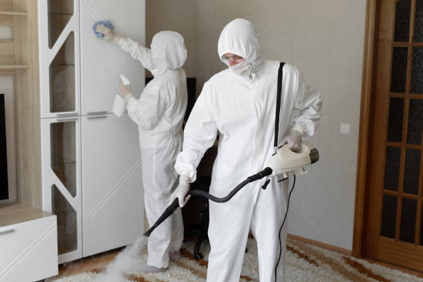 Best Professional Mold Removal  in Winfield, IA