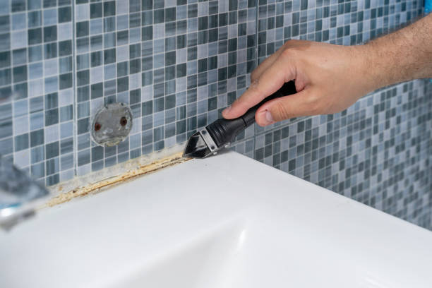 Best Mold Testing  in Winfield, IA